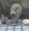 Monster Miniatures Set Brite Large Dungeons and Dragons dice4dungeons Brite Carousel 16