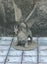 Monster Miniatures Set Brite Large Dungeons and Dragons dice4dungeons Brite Carousel 14