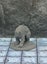 Monster Miniatures Set Brite Large Dungeons and Dragons dice4dungeons Brite Carousel 12
