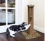 PTN NEW Cat Scratcher Sale Sale Carousel 4