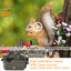 Wireless WIFI Wildlife Trail Camera Trap 32MP Video Security Hunting Camera Carousel 5