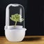 Succulent Pots with LED Grow Light,Smart Succulent Planters with Timer and Venti Carousel 7