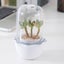 Succulent Pots with LED Grow Light,Smart Succulent Planters with Timer and Venti Carousel 8