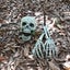 Realistic Halloween Skeleton Stakes Decorations 3Pcs Groundbreakers Sk Carousel 2