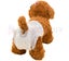 PTN NEW Disposable Dog Diapers Sale Sale Carousel 3