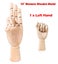 Hand Model Mannequin 3666701 Carousel 1