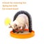 Cat Hair Grooming Comb Shedding Fur brush Multi-functional cat toy for pet hair Carousel 2