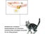 PTN NEW Cat Collar Sale Sale Carousel 5