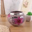 Glass Candle Holder Tea Light Holders Sale NZ Stock Deal Carousel 5