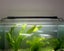 New Aquarium LED Light 60cm on Afterpay Carousel 5