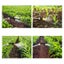 Weed Sprayer 15L Knapsack Backpack Pesticide Fertiliser Farm Garden Carousel 4