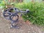 Kiwi sculpture Carousel 3