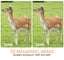 Bluetooth WIFI Wildlife Trail Camera Security Camera 32MP 1296P Video Flash Cam Carousel 4