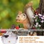 Bluetooth WIFI Wildlife Trail Camera Security Camera 32MP 1296P Video Flash Cam Carousel 5