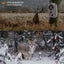 Bluetooth WIFI Wildlife Trail Camera Security Camera 32MP 1296P Video Flash Cam Carousel 6