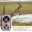 Bluetooth WIFI Wildlife Trail Camera Security Camera 32MP 1296P Video Flash Cam Carousel 8