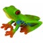 CollectA Red Eyed Tree Frog Carousel 1