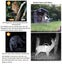 Wildlife Observing Trail Camera 32MP 1296P No Glow Night Vision Motion Activated Carousel 7