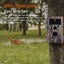 Wildlife Observing Trail Camera 32MP 1296P No Glow Night Vision Motion Activated Carousel 10