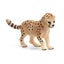 Schleich Big Cats - 10 piece set Carousel 3