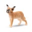Schleich Big Cats - 10 piece set Carousel 4