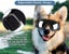 Dog Eye Protection UV Goggles Lightweight Glasses Eye Wear Carousel 2