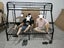 Closing down sale new QUEEN -KING SINGLE BUNK BED WITHOUT MATTRESSES Carousel 3
