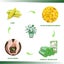 120Pcs 35x40cm Biodegradable Trash Bag Garbage Waste Rubbish Dustbin Disposable Carousel 4