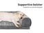 Pet Bed Carousel 4