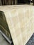 Plywood 19mm Carousel 6