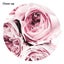 Peony Art Print Carousel 2