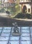 Adventurers Hero PC Miniatures Set #1 Dungeons and Dragons dice4dungeons Brite Carousel 8