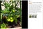 Brand New Garden Tomato Tower Plant Support Cage Frame Trellis *Clearance* Carousel 4