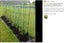 Brand New Garden Tomato Tower Plant Support Cage Frame Trellis *Clearance* Carousel 8