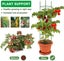 Brand New Garden Tomato Tower Plant Support Cage Frame Trellis *Clearance* Carousel 13