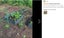 Brand New Garden Tomato Tower Plant Support Cage Frame Trellis *Clearance* Carousel 12