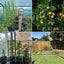 Brand New Garden Tomato Tower Plant Support Cage Frame Trellis *Clearance* Carousel 14