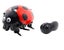 Crazy RC Lady Bug Carousel 3