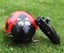 Crazy RC Lady Bug Carousel 1