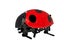 Crazy RC Lady Bug Carousel 4