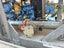 Sykes High Head trailer Dewatering pump Carousel 6