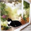 PTN NEW Cat Bed Sale Sale Sale Carousel 7