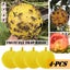 Brand New Rubbish bin Fly Catcher Garden Fruit Insects Bug Traps*Hot SALE Carousel 3