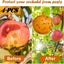 Brand New Rubbish bin Fly Catcher Garden Fruit Insects Bug Traps*Hot SALE Carousel 11