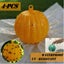 Brand New Rubbish bin Fly Catcher Garden Fruit Insects Bug Traps*Hot SALE Carousel 14