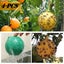 Brand New Rubbish bin Fly Catcher Garden Fruit Insects Bug Traps*Hot SALE Carousel 16