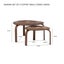 SANDRA SET OF 2 COFFEE TABLE Carousel 8