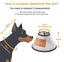 Dog Cone Collar, Dog Cone Collar for After Surgery Anti-Bite Lick Carousel 4