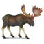 Loading Image 1 of 1