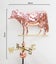 Copper Weathervane-Dairy Cow " HALF PRICE " Carousel 3
